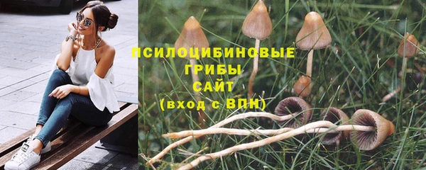 прущая мука Алзамай
